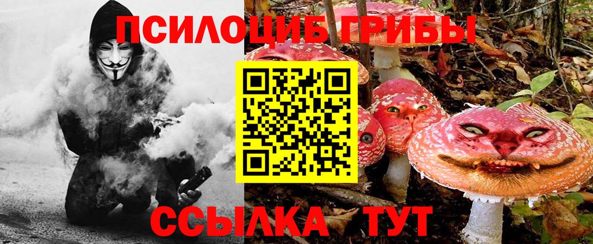 Десногорск  Галлюциногенные грибы GOLDEN TEACHER  где можно купить   Вход с VPN 